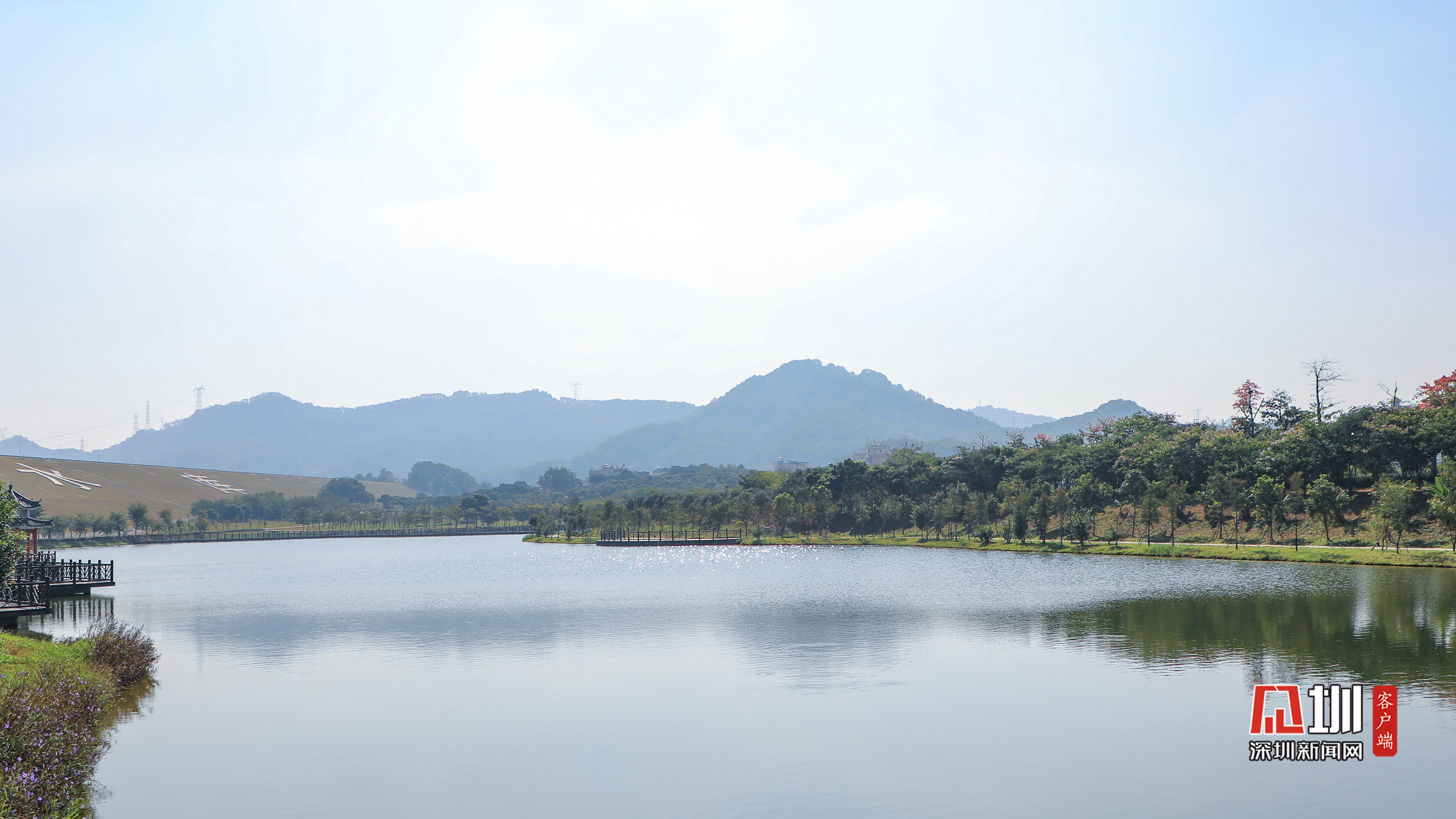 发现光明治水美景 |公明水库坝下景观湖:青山绿水闻鸟鸣 湖光倒影两