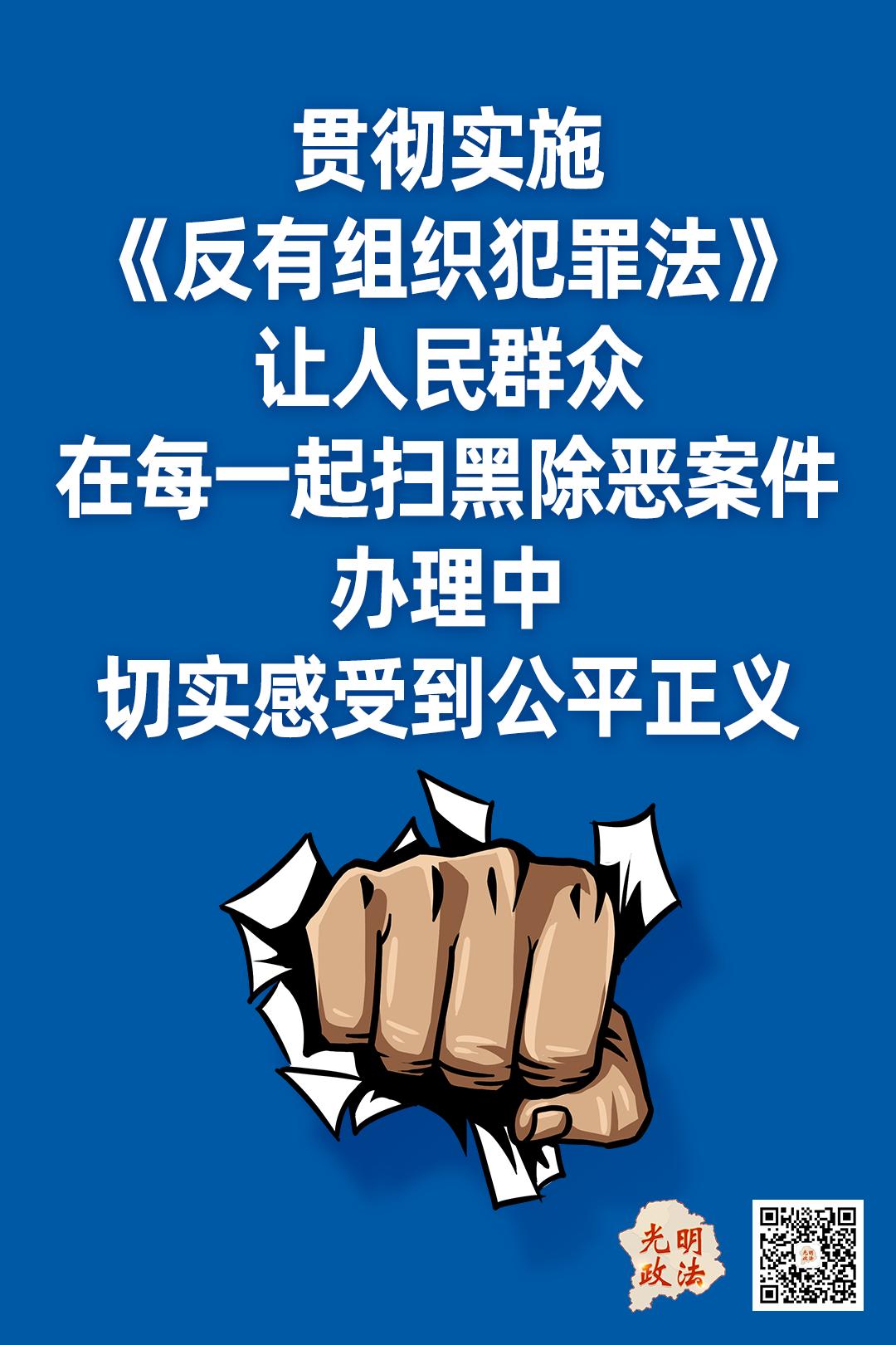 坚决贯彻实施反有组织犯罪法推动常态化扫黑除恶斗争走深走实